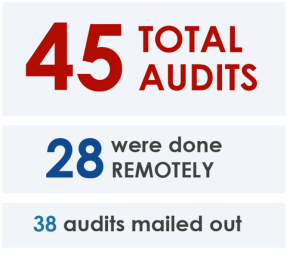 stats-audits